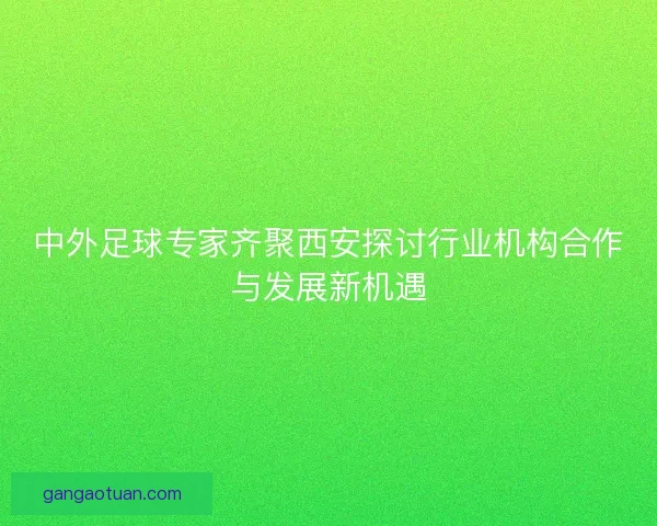 中外足球专家齐聚西安探讨行业机构合作与发展新机遇